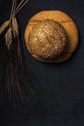Top view of freshly baked bread loaves covered with seeds placed near heap of wheat spikes on black background in studio - ADSF36611
