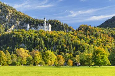 Schloss Neuschwanstein, Schwangau, Allgäu, Bayern, Deutschland, Europa - RHPLF22824