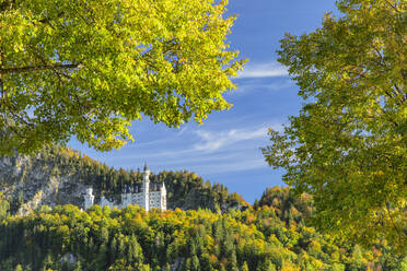 Schloss Neuschwanstein, Schwangau, Allgäu, Bayern, Deutschland, Europa - RHPLF22826