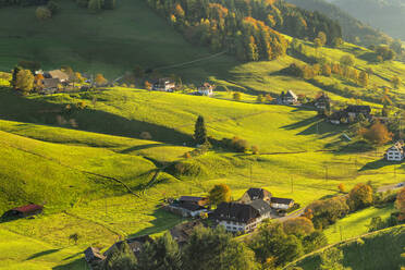 Munstertal Valley, Southern Black Forest, Baden-Wurttemberg, Germany, Europe - RHPLF22831
