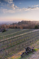 Sonnenuntergang über den Weinbergen von Franciacorta, Provinz Brescia im Bezirk Lombardei, Italien, Europa - RHPLF22925