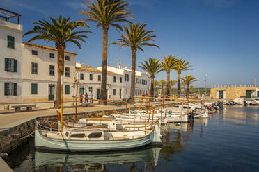 View of boats and palm trees in the marina and houses in Fornelles, Fornelles, Menorca, Balearic Islands, Spain, Mediterranean, Europe - RHPLF22983