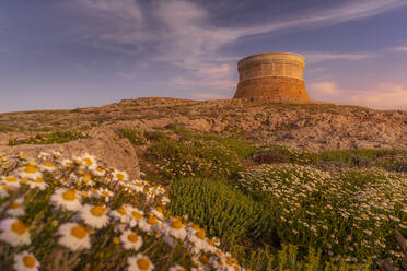 Blick auf die Festung von Fornelles und Frühlingsblumen bei Sonnenuntergang in Fornelles, Fornelles, Menorca, Balearen, Spanien, Mittelmeer, Europa - RHPLF22984