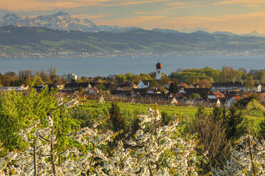 Blick über Kressbronn zum Bodensee und den Schweizer Alpen bei Santis, 2502m, Oberschwaben, Baden-Württemberg, Deutschland, Europa - RHPLF22993