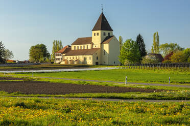 Kirche St. Georg, Oberzell, UNESCO-Welterbe, Insel Reichenau, Bodensee, Baden-Württemberg, Deutschland, Europa - RHPLF22997