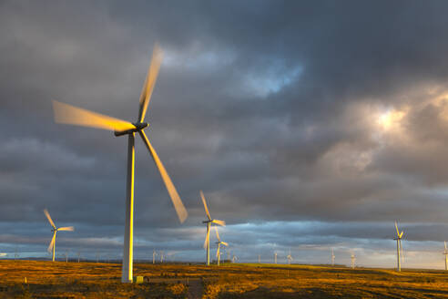 Windkraftanlagen bei Sonnenuntergang mit stürmischem Himmel, Whitelee Windfarm, East Renfrewshire, Schottland, Vereinigtes Königreich, Europa - RHPLF23075