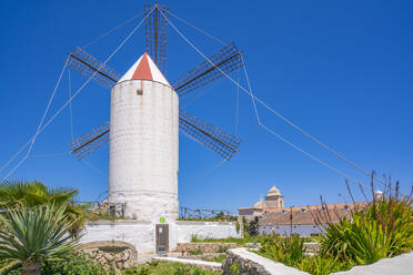 Blick auf die getünchte Windmühle und das Touristeninformationszentrum, Es Castell, Menorca, Balearische Inseln, Spanien, Mittelmeer, Europa - RHPLF23104