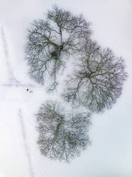 Luftaufnahme von Southampton Common nach starkem Schneefall mit Blick auf drei Eichen Southampton, Hampshire, Vereinigtes Königreich. - AAEF15495
