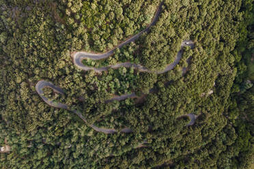 Luftaufnahme einer Straße im Wald, Marciana, Insel Elba, Italien. - AAEF15729