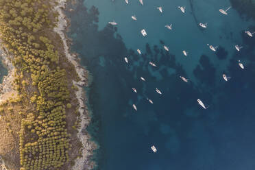 Aerial view of sailing boats in Fetovaia Bay at sunset, Seccheto, Elba Island, Tuscany, Italy. - AAEF15745