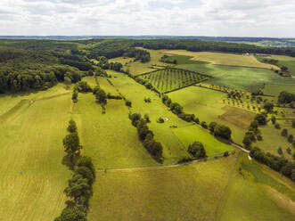 Luftaufnahme einer Landschaft mit Hügeln, Grasland und Obstplantagen, Vijlen, Südlimburg, Niederlande. - AAEF15768