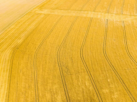 Abstrakte Luftaufnahme eines Weizenfeldes auf den Hügeln von Zuid Limburg, Niederlande. - AAEF15770