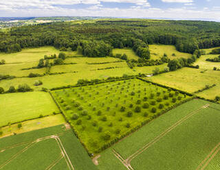 Luftaufnahme einer Landschaft mit Hügeln, Wiesen und Obstplantagen und dem Wald, Vijlenerbos, Vijlen, Südlimburg, Niederlande. - AAEF15771