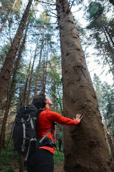 Seitenansicht einer Frau mit Rucksack, die einen Baumstamm berührt und nach oben schaut, während sie den Wald an einem Sommertag erkundet - ADSF37044