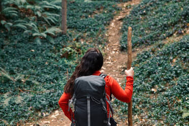 Rückenansicht einer anonymen Brünetten mit Rucksack und Stock, die die Natur bewundert, während sie am Wochenende durch einen Nadelwald reist - ADSF37046