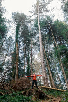 Von unten: Frau breitet die Arme aus und genießt die Freiheit, während sie auf einem umgestürzten Baum während eines Ausflugs in einem Nadelwald steht - ADSF37051