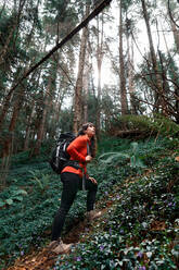 Seitenansicht einer Frau mit Rucksack, die den Wald bewundert, während sie am Wochenende durch einen Nadelwald fährt - ADSF37052