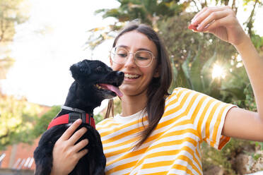 Fröhliche junge Frau in Freizeitkleidung und Brille füttert schwarzen Hundewelpen, während sie auf einer Bank an einem sonnigen Sommertag im Park sitzt - ADSF37148