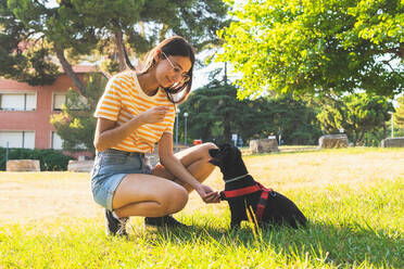 Ganzkörperlich fröhliche junge Frau in Freizeitkleidung und Brille, die das Geschirr eines gehorsamen schwarzen Welpen einstellt und lächelt, während sie auf den Hüften sitzt und den Hund an einem sonnigen Sommertag im Park trainiert - ADSF37152