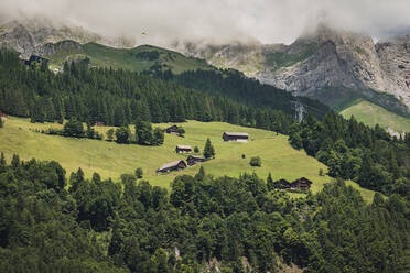 Erstaunliche Drohne Blick auf kleine typische Wohnhäuser auf grasbewachsenen hügeligen Gelände mit üppigem Grün Nadelbäume an einem sonnigen Tag in bergigen Tal in der Schweiz gelegen - ADSF37181