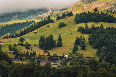 Erstaunliche Drohne Blick auf kleine typische Wohnhäuser auf grasbewachsenen hügeligen Gelände mit üppigem Grün Nadelbäume an einem sonnigen Tag in bergigen Tal in der Schweiz gelegen - ADSF37192