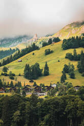 Erstaunliche Drohne Blick auf kleine typische Wohnhäuser auf grasbewachsenen hügeligen Gelände mit üppigem Grün Nadelbäume an einem sonnigen Tag in bergigen Tal in der Schweiz gelegen - ADSF37193