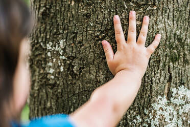 Weichzeichner von abgeschnittenen anonymen Kind berühren raue Rinde des Baumes auf Sommertag im Park - ADSF37287