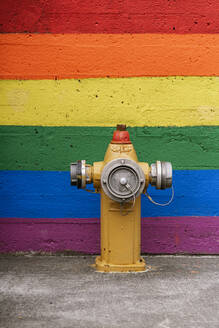 Traditioneller Hydrant auf der Straße in der Nähe der Mauer mit gemaltem LGBT-Regenbogen-Hintergrund am Straßenrand - ADSF37349