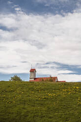 Grassy meadow with blooming yellow wildflowers near Reykholtskirkja church with red roofs against cloudy blue sky in Iceland - ADSF37351