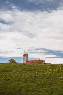 Wiese mit blühenden gelben Wildblumen in der Nähe von Reykholtskirkja Kirche mit roten Dächern gegen bewölkten blauen Himmel in Island - ADSF37351