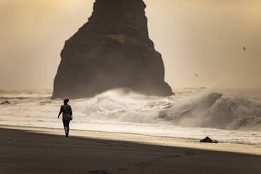 Unrecognizable back view of traveler in warm clothes and hat walking admiring dramatic landscape of volcanic coastline black sand beach with rock formations washed by foamy waves of stormy sea in Iceland - ADSF37426