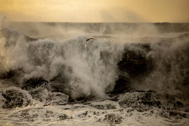 Picturesque view of foamy sea waves rolling and splashing on stormy day in Iceland during sunset - ADSF37427