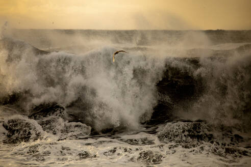 Malerischer Blick auf schäumende Meereswellen, die an einem stürmischen Tag in Island bei Sonnenuntergang rollen und plätschern - ADSF37427
