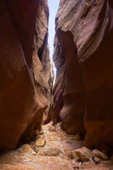 Trockener Pfad durch den engen Buckskin Gulch Canyon in Utah, USA - ADSF37446