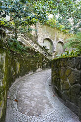 Portugal, Sintra, Außenbereich der Quinta da Regaleira - TETF01749