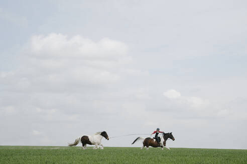 Mädchen reitet, zieht Pferd an der Leine im offenen Feld - FSIF06133