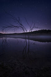 Trockene Äste in einem See gegen niß'^ght Himmel mit hellen Sternen in Landschaft gelegen - ADSF37480