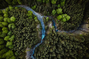 Drone Blick auf schmale Bach fließt durch dichten Wald mit üppigen grünen Bäumen in der Natur von Spanien am Sommertag - ADSF37500