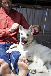 Mann spielt zu Hause mit den Ohren seines Hundes - VEGF05911