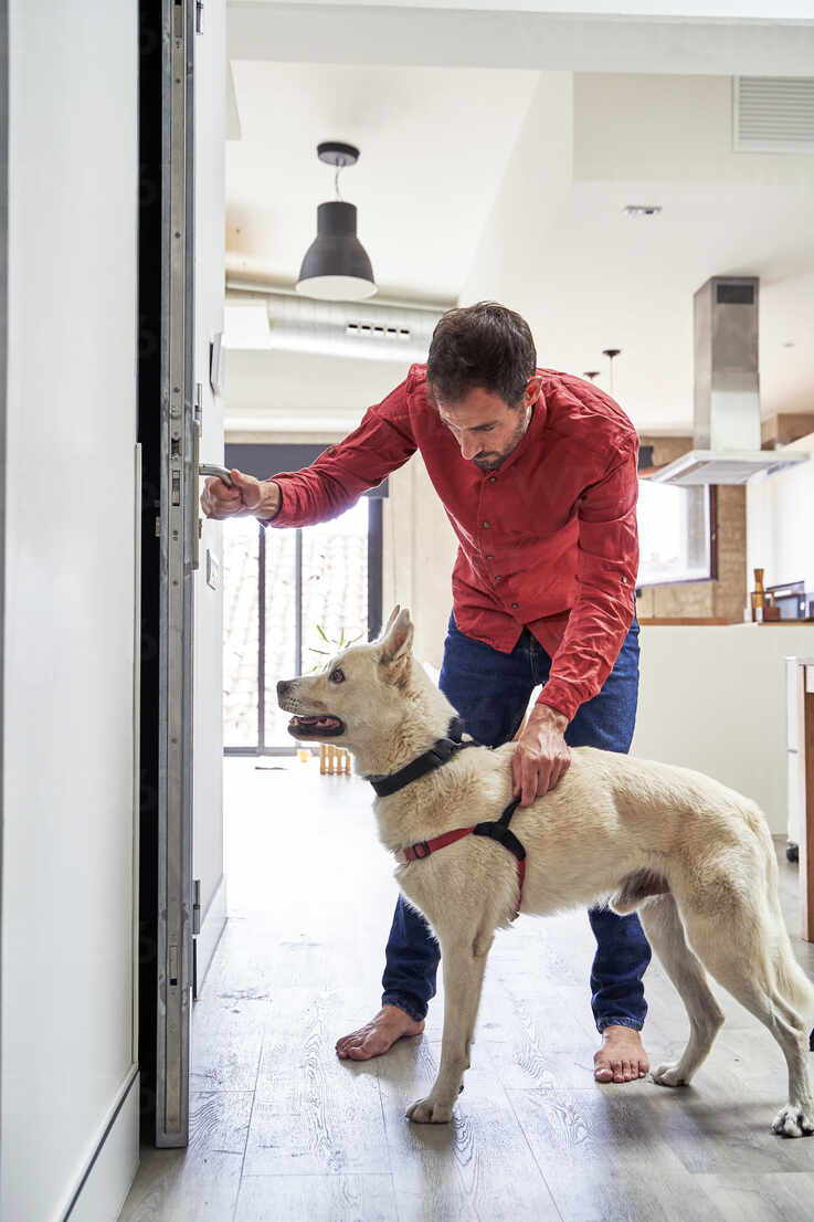 Man holding leash of dog and opening the door stock photo