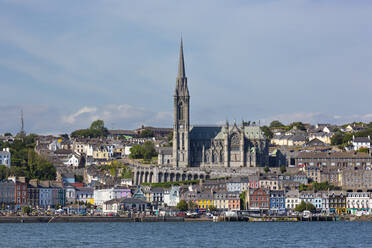 Ireland, County Cork, Cobh, View of coastal town with Saint Colmans Cathedral in center - FCF02098