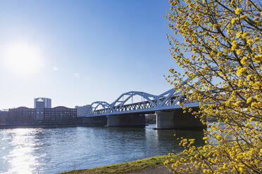 Deutschland, Baden-Württemberg, Mannheim, Sonne auf der Konrad-Adenauer-Brücke über den Rhein - GWF07549