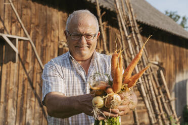 Lächelnder Bauer zeigt Karotten und Zwiebeln im Hinterhof an einem sonnigen Tag - OSF00886