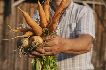 Älterer Landwirt mit Möhren und Zwiebeln in der Hand an einem sonnigen Tag - OSF00887