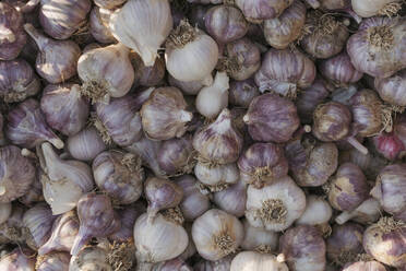 Knoblauch und Zwiebeln im Hinterhof - OSF00893