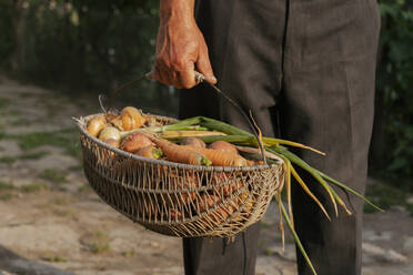 Farmer holding basket with vegetables - OSF00895