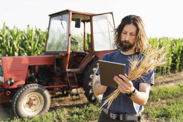 Älterer Landwirt mit Weizenkulturen bei der Nutzung eines Tablet-PCs im Betrieb - EKGF00001