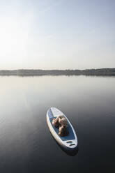 Woman lying in embryo pose on paddleboard over water at sunset - EYAF02164