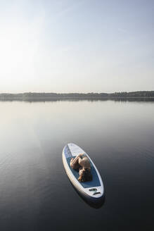 Frau liegend in Embryo-Pose auf Paddleboard über Wasser bei Sonnenuntergang - EYAF02164