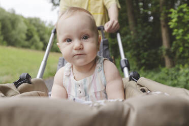 Vater schiebt Kinderwagen im Park - IHF01201